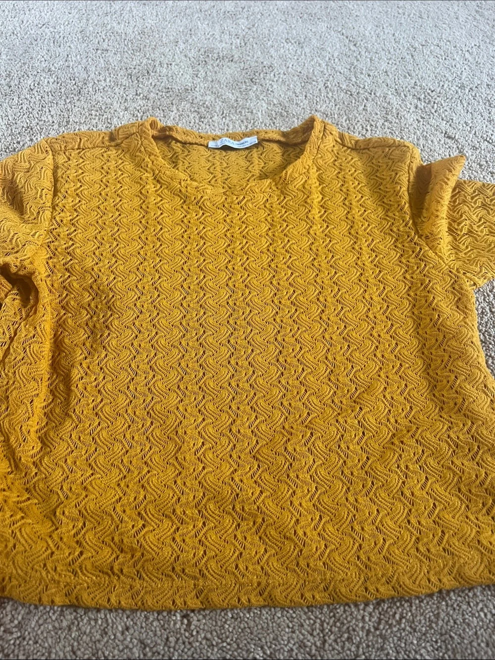 Zara Mustard Textured Long-Sleeve Crop Top